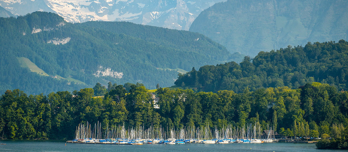 The Desires of Your Heart