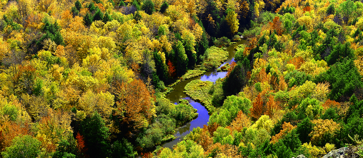 Sunday Reflection: We All Win Together